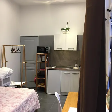 Grand Confort Dans L'hyper Centre Apartment *