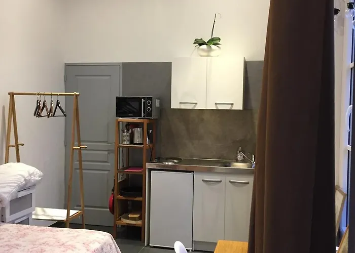 Grand Confort Dans L'hyper Centre Appartement *